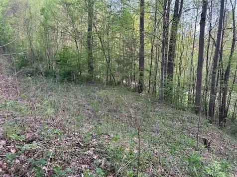 0 Yellow Branch State Road1267 Robbinsville NC 28771