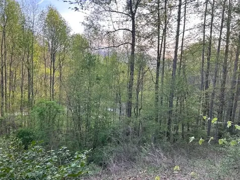 0 Yellow Branch State Road1267 Robbinsville NC 28771