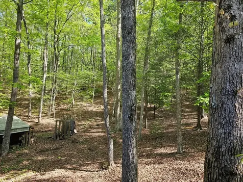 421 Sleepy Hollow Murphy NC 28906