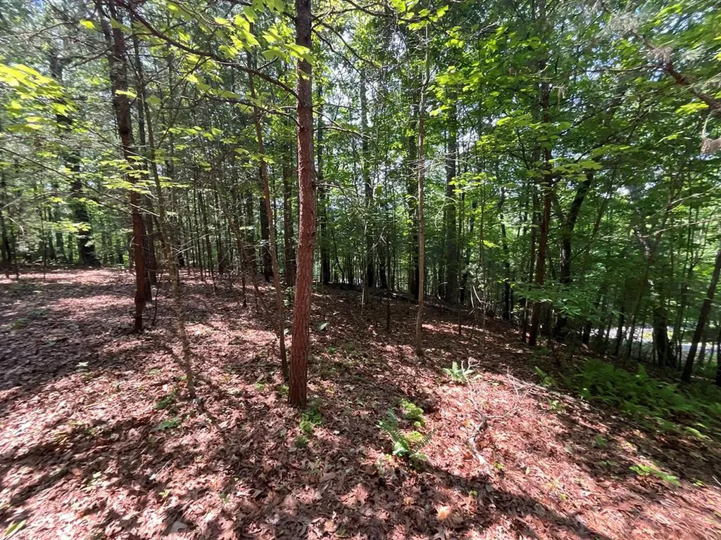 5 Birds View Lane Murphy NC 28906