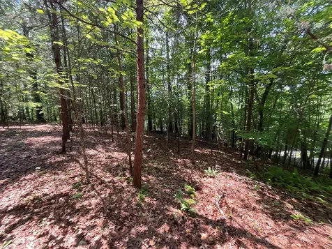 5 Birds View Lane Murphy NC 28906