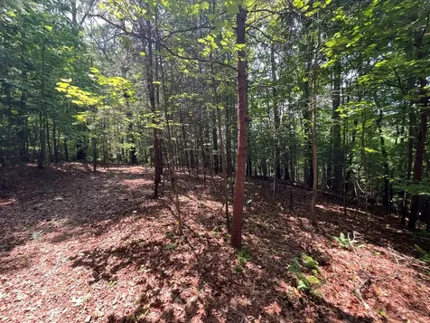 5 Birds View Lane Murphy NC 28906