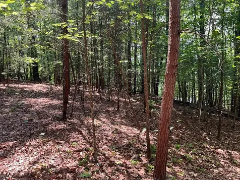 5 Birds View Lane Murphy NC 28906