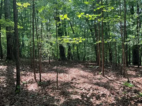 5 Birds View Lane Murphy NC 28906