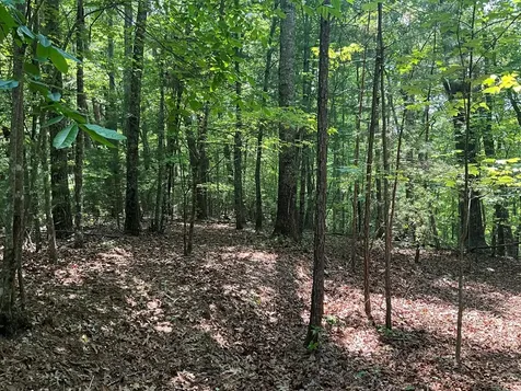 5 Birds View Lane Murphy NC 28906