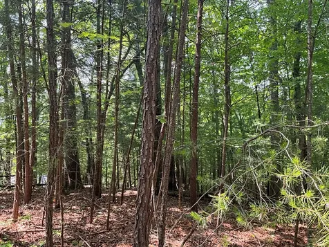 5 Birds View Lane Murphy NC 28906