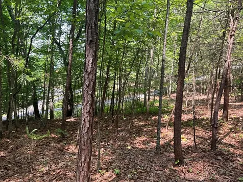 5 Birds View Lane Murphy NC 28906