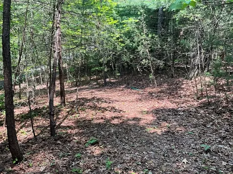 5 Birds View Lane Murphy NC 28906