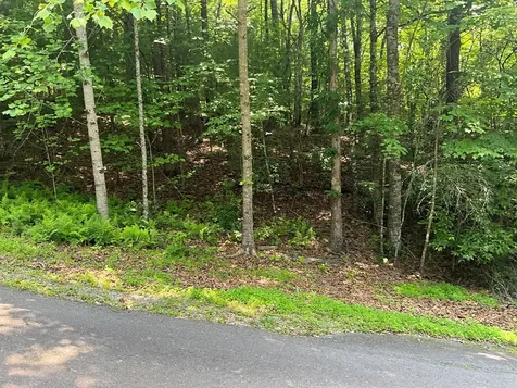 5 Birds View Lane Murphy NC 28906