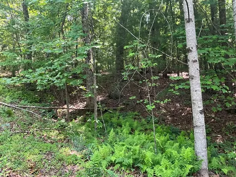 5 Birds View Lane Murphy NC 28906