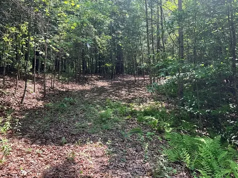5 Birds View Lane Murphy NC 28906