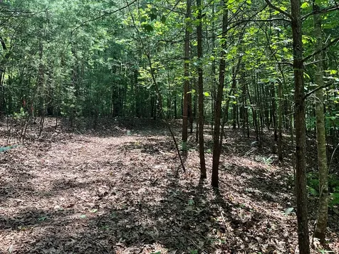 5 Birds View Lane Murphy NC 28906