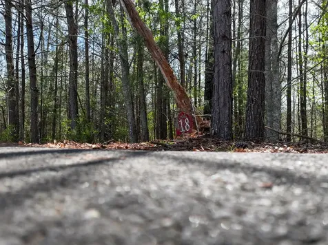 Lot 18 Flowing Springs Drive Murphy NC 28906
