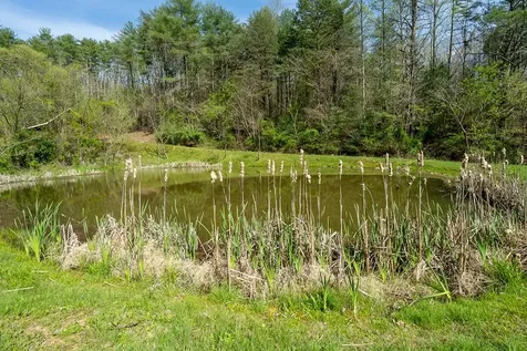 Lot 18 Flowing Springs Drive Murphy NC 28906