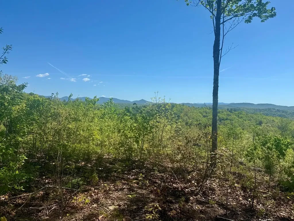0 Wayah Ridge Murphy NC 28906