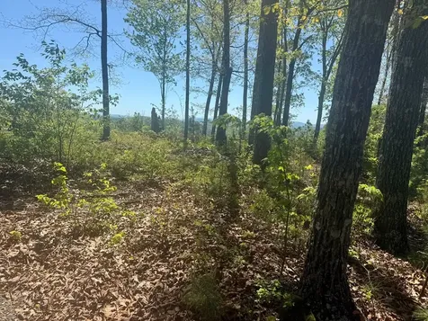 0 Wayah Ridge Murphy NC 28906