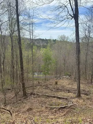 Lot 4 Buck Ridge Drive Murphy NC 28906