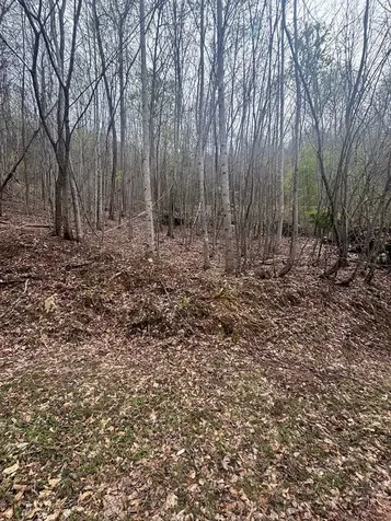 Lot 4 Buck Ridge Drive Murphy NC 28906