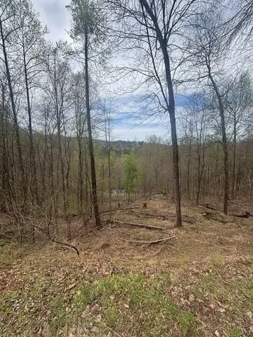 Lot 4 Buck Ridge Drive Murphy NC 28906