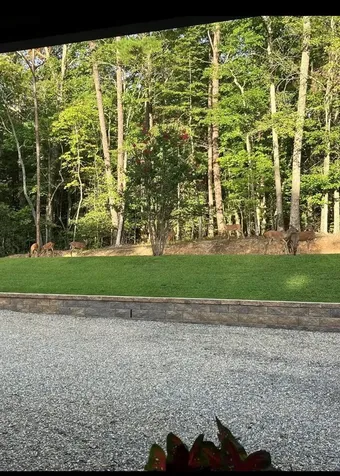 206 Hedden Road Murphy NC 28906