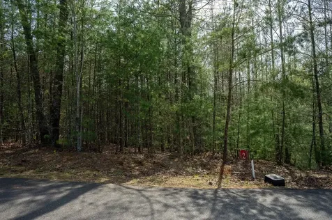 Lot 2 Flowing Springs Drive Murphy NC 28906