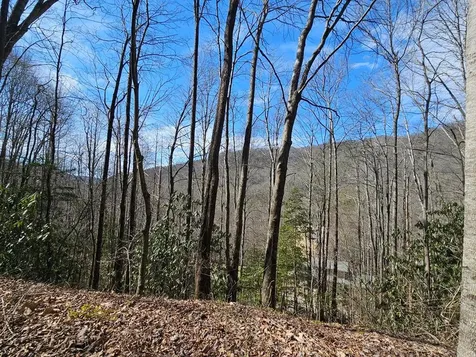 16 Warrior Way Andrews NC 28901