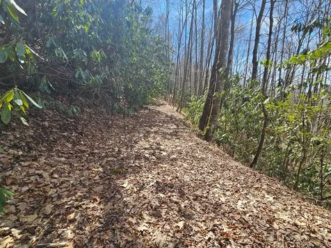 16 Warrior Way Andrews NC 28901