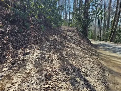 16 Warrior Way Andrews NC 28901