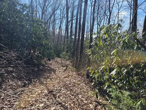 16 Warrior Way Andrews NC 28901
