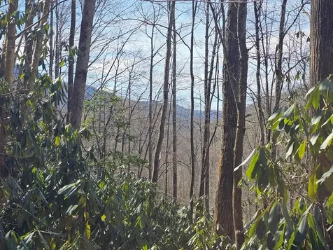 16 Warrior Way Andrews NC 28901