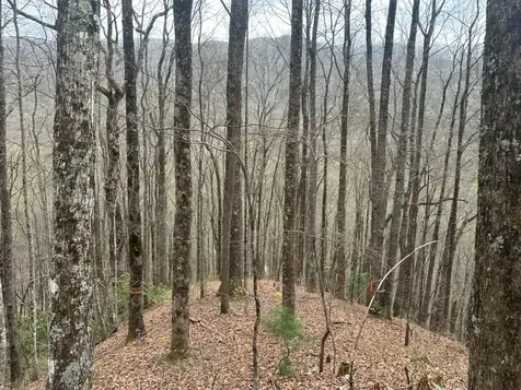 Tbd Clearview Murphy NC 28906