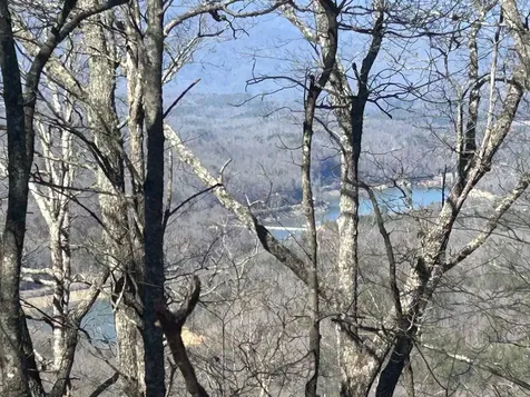 Lot 2 Grouse Drive Bryson City NC 28713