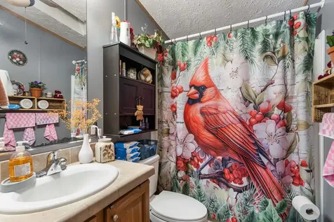 149 Sandy Lane Murphy NC 28906