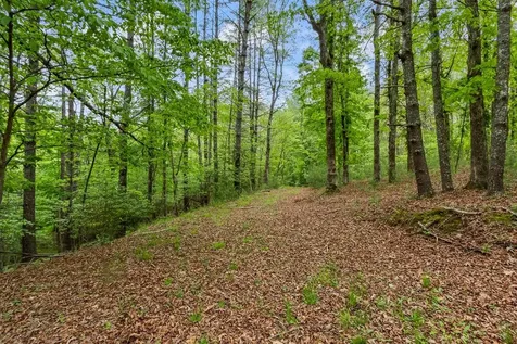 149 Sandy Lane Murphy NC 28906