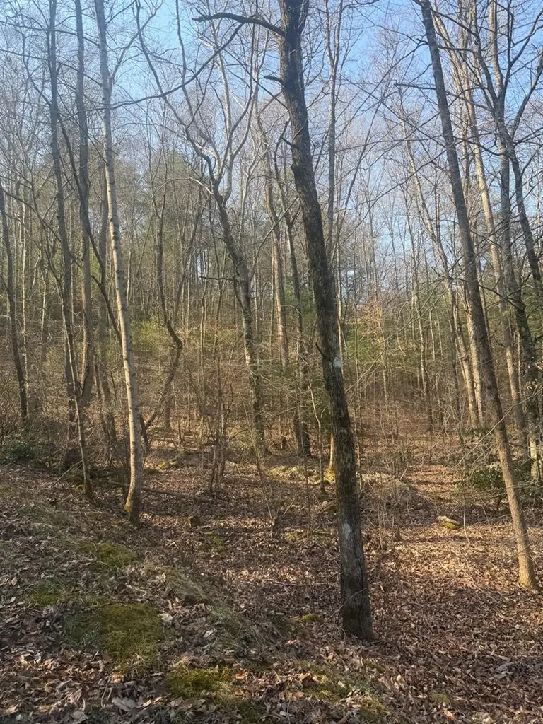 Lot 12 Rainbow Valley Drive Murphy NC 28906