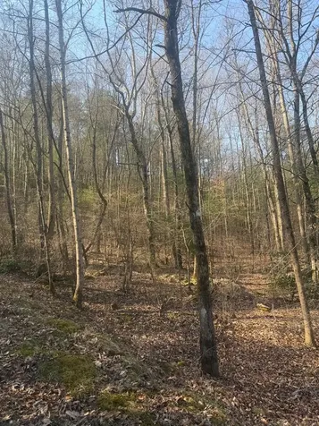 Lot 12 Rainbow Valley Drive Murphy NC 28906