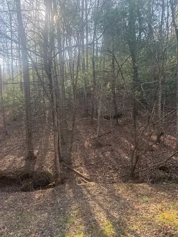 Lot 12 Rainbow Valley Drive Murphy NC 28906
