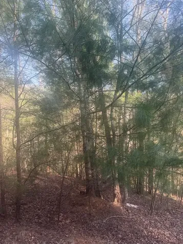 Lot 12 Rainbow Valley Drive Murphy NC 28906