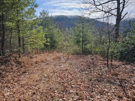 51 Kudzu Creek Trail Murphy NC 28906