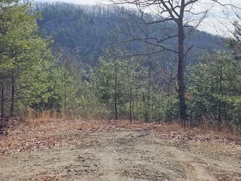 51 Kudzu Creek Trail Murphy NC 28906