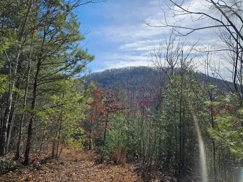 51 Kudzu Creek Trail Murphy NC 28906