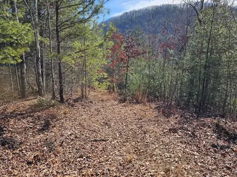51 Kudzu Creek Trail Murphy NC 28906