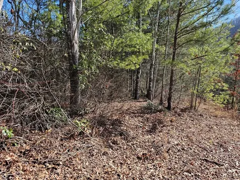 51 Kudzu Creek Trail Murphy NC 28906