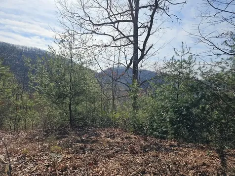 51 Kudzu Creek Trail Murphy NC 28906