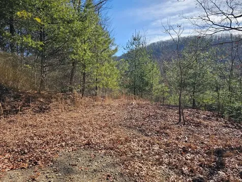 51 Kudzu Creek Trail Murphy NC 28906