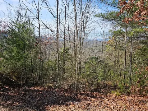 51 Kudzu Creek Trail Murphy NC 28906