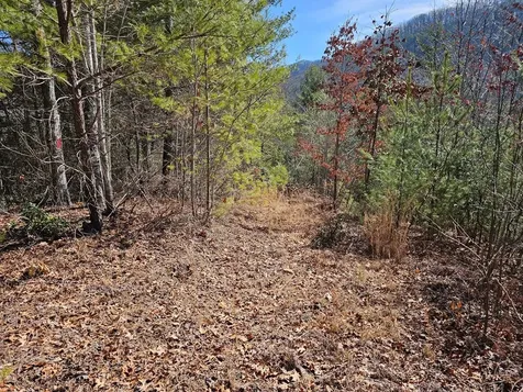 51 Kudzu Creek Trail Murphy NC 28906