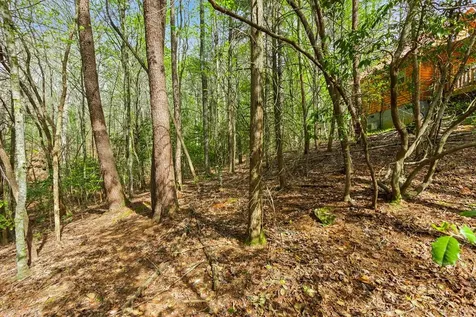 72 Bentley Cove Murphy NC 28906