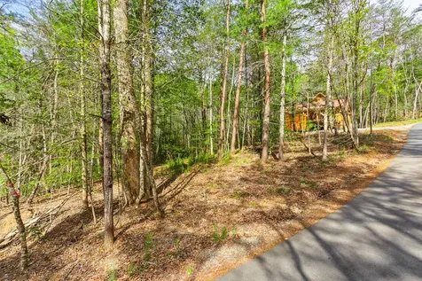 72 Bentley Cove Murphy NC 28906