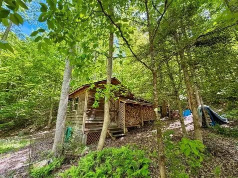 175 Cougar Lane Whittier NC 28789